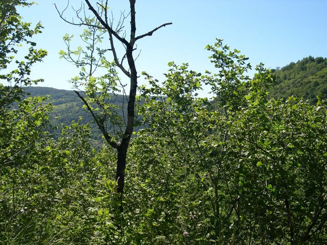 la cote d echevanne8